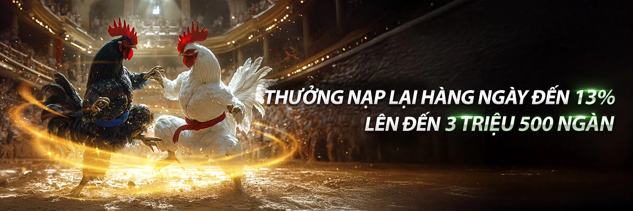 Đá Gà Trực Tuyến Hấp Dẫn tại BTY522